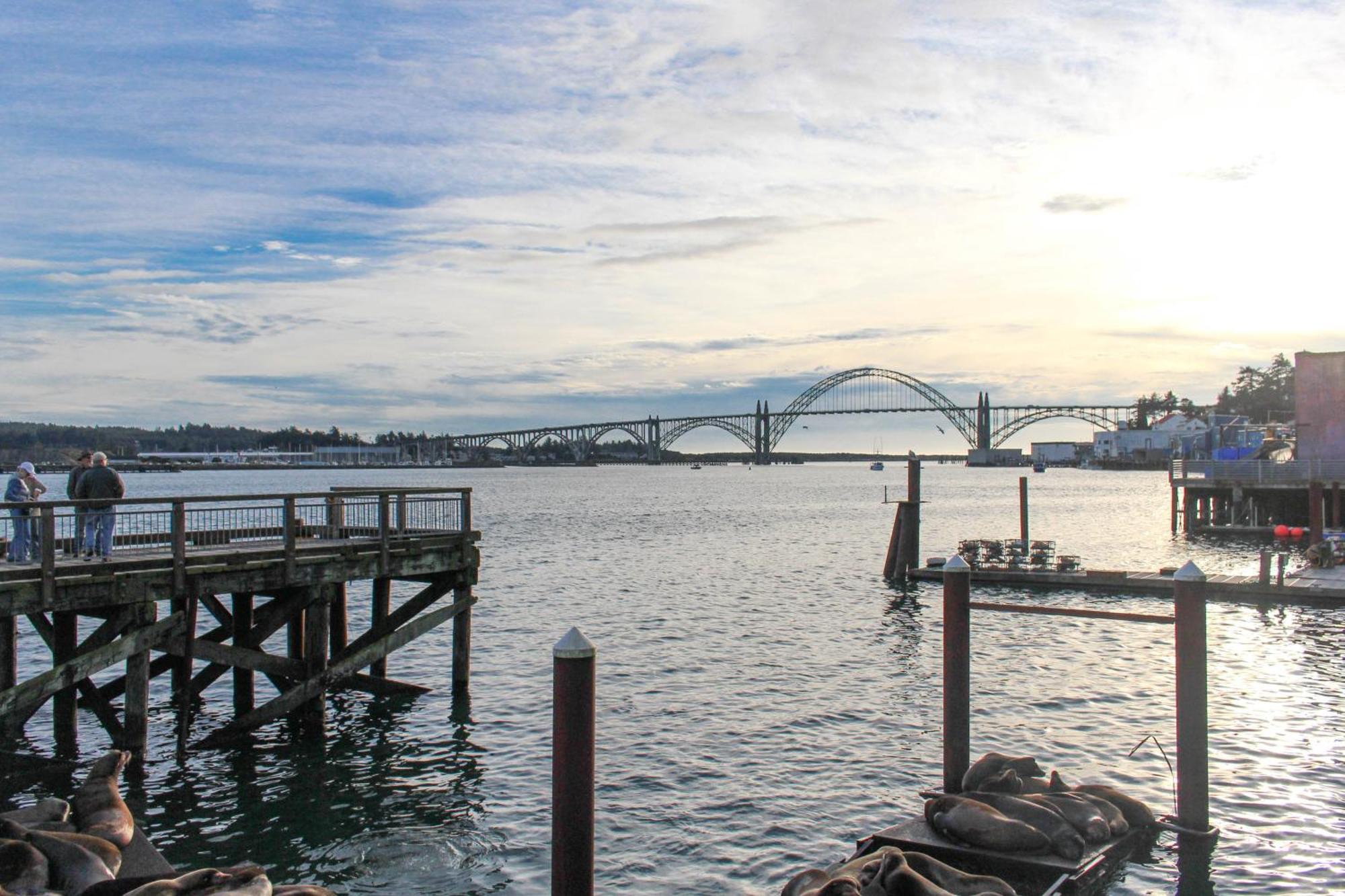 The Embarcadero Condos ニューポート 部屋 写真